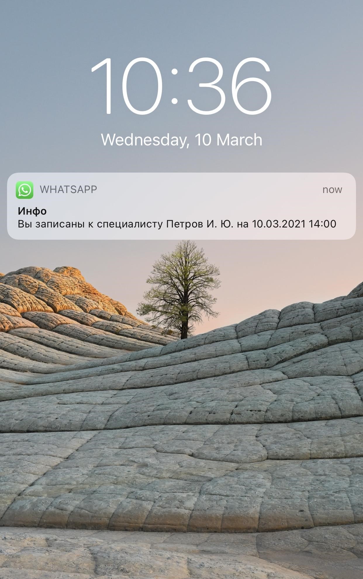 Пример сообщения в WhatsApp